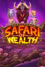 Safari Wealth
